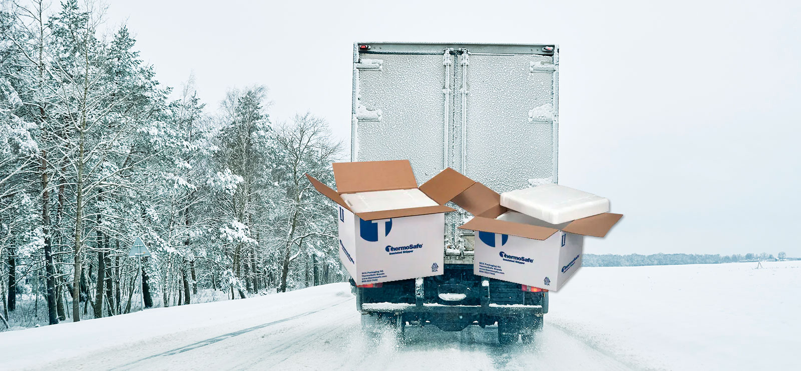 Cold Chain Solutions